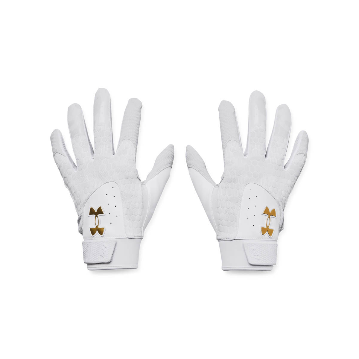 GANTS DE FRAPPEUR HARPER 24