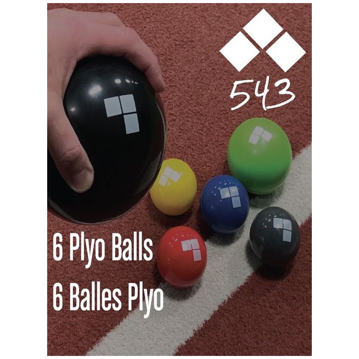 BALLES DE'ENTRAINEMENT PLYO 543 (LOT DE 6)