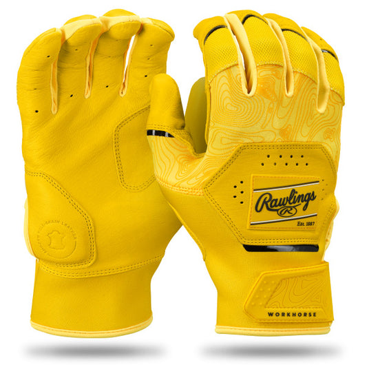 GANTS DE FRAPPEUR WORKHORSE WH25BG